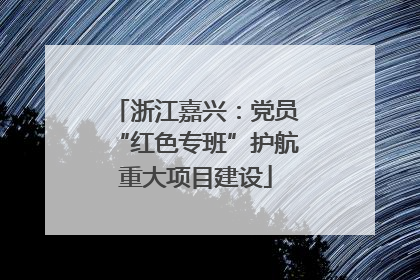 浙江嘉兴：党员“红色专班”护航重大项目建设