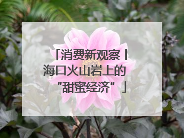 消费新观察丨海口火山岩上的“甜蜜经济”