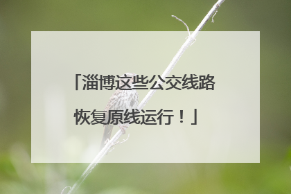 淄博这些公交线路恢复原线运行！