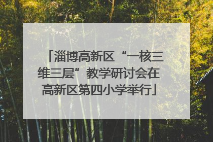 淄博高新区“一核三维三层”教学研讨会在高新区第四小学举行