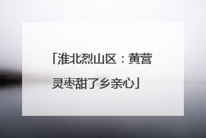 淮北烈山区：黄营灵枣甜了乡亲心
