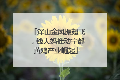 深山金凤振翅飞，钱大妈推动宁都黄鸡产业崛起