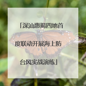 深汕惠揭四地首度联动开展海上防台风实战演练