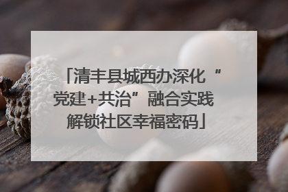 清丰县城西办深化“党建+共治”融合实践 解锁社区幸福密码