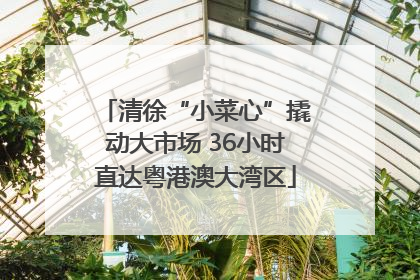 清徐“小菜心”撬动大市场 36小时直达粤港澳大湾区