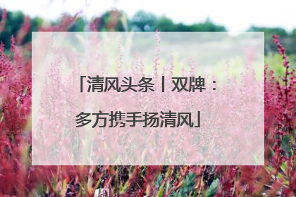 清风头条丨双牌：多方携手扬清风