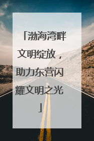 渤海湾畔文明绽放，助力东营闪耀文明之光