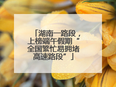 湖南一路段，上榜端午假期“全国繁忙易拥堵高速路段”