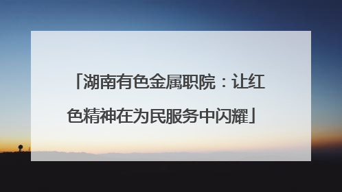 湖南有色金属职院：让红色精神在为民服务中闪耀