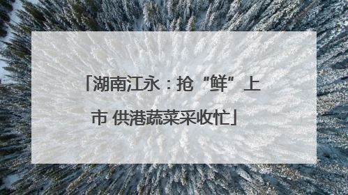 湖南江永：抢“鲜”上市 供港蔬菜采收忙