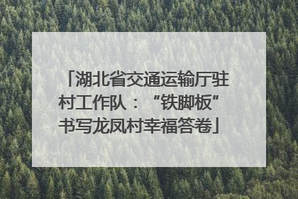 湖北省交通运输厅驻村工作队：“铁脚板”书写龙凤村幸福答卷