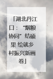湖北丹江口：“烟粮协同”结硕果 绘就乡村振兴新画卷