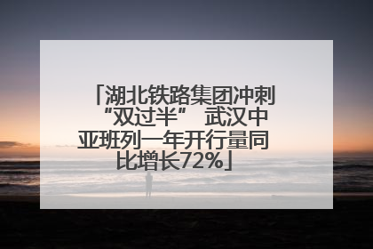 湖北铁路集团冲刺“双过半” 武汉中亚班列一年开行量同比增长72%