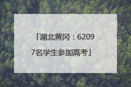 湖北黄冈：62097名学生参加高考