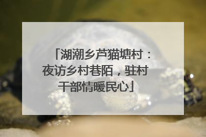 湖潮乡芦猫塘村：夜访乡村巷陌，驻村干部情暖民心