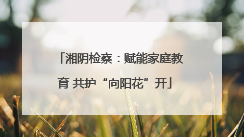湘阴检察：赋能家庭教育 共护“向阳花”开