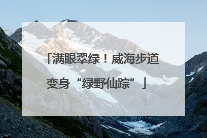 满眼翠绿！威海步道变身“绿野仙踪”
