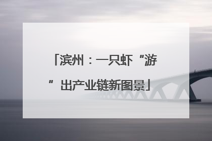 滨州：一只虾“游”出产业链新图景