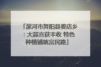 漯河市舞阳县姜店乡：大蒜喜获丰收 特色种植铺就富民路