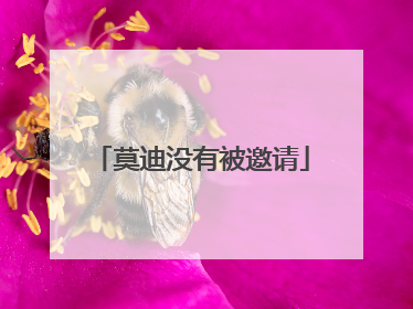 莫迪没有被邀请