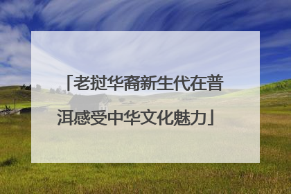 老挝华裔新生代在普洱感受中华文化魅力
