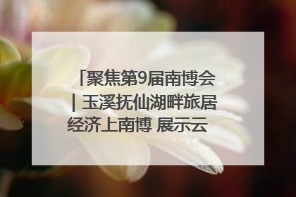 聚焦第9届南博会｜玉溪抚仙湖畔旅居经济上南博 展示云南生活新样本