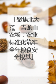 聚焦北大荒｜青龙山农场：农业标准化筑牢全年粮食安全根基
