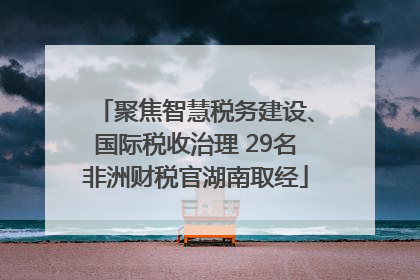 聚焦智慧税务建设、国际税收治理 29名非洲财税官湖南取经