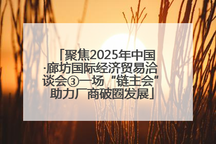 聚焦2025年中国·廊坊国际经济贸易洽谈会③一场“链主会” 助力厂商破圈发展