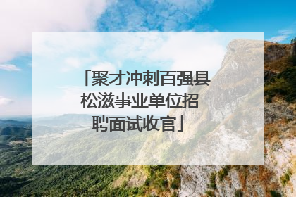 聚才冲刺百强县 松滋事业单位招聘面试收官