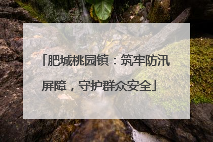 肥城桃园镇：筑牢防汛屏障，守护群众安全
