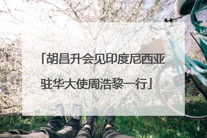 胡昌升会见印度尼西亚驻华大使周浩黎一行