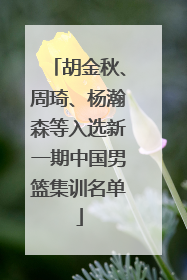 胡金秋、周琦、杨瀚森等入选新一期中国男篮集训名单