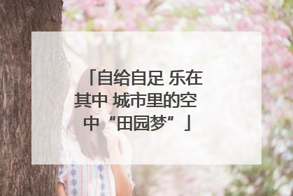 自给自足 乐在其中 城市里的空中“田园梦”