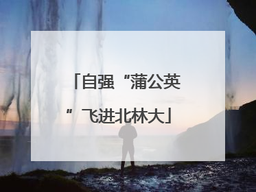 自强“蒲公英”飞进北林大