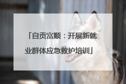 自贡富顺：开展新就业群体应急救护培训