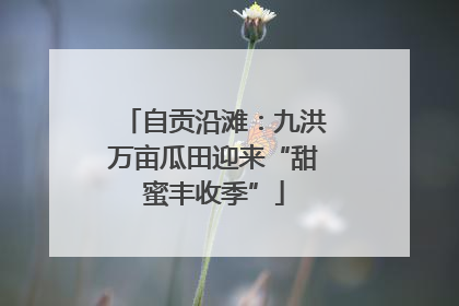 自贡沿滩：九洪万亩瓜田迎来“甜蜜丰收季”