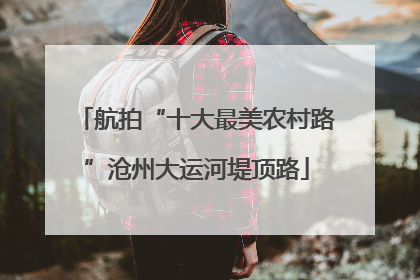 航拍“十大最美农村路”沧州大运河堤顶路