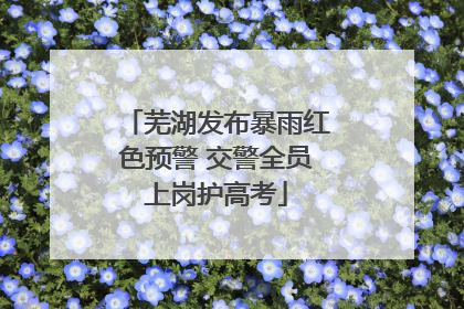 芜湖发布暴雨红色预警 交警全员上岗护高考
