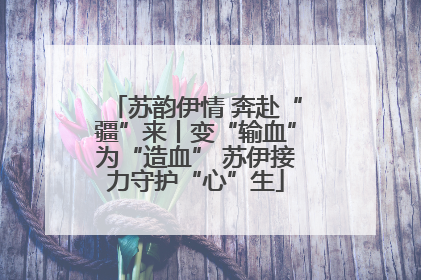 苏韵伊情 奔赴“疆”来丨变“输血”为“造血” 苏伊接力守护“心”生