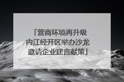 营商环境再升级 内江经开区举办沙龙邀请企业建言献策