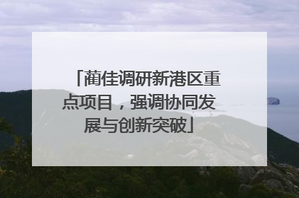 蔺佳调研新港区重点项目，强调协同发展与创新突破