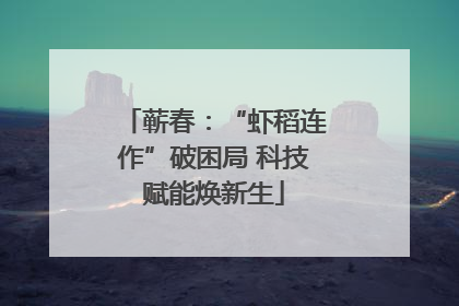 蕲春：“虾稻连作”破困局 科技赋能焕新生