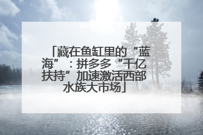 藏在鱼缸里的“蓝海”：拼多多“千亿扶持”加速激活西部水族大市场