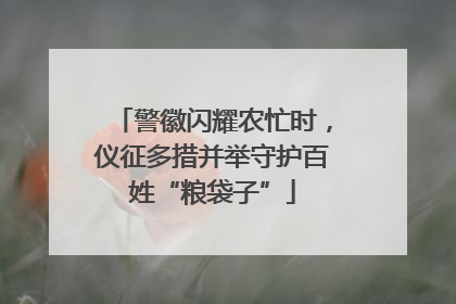 警徽闪耀农忙时，仪征多措并举守护百姓“粮袋子”