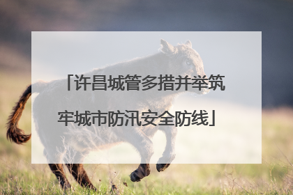许昌城管多措并举筑牢城市防汛安全防线