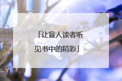 让盲人读者听见书中的精彩