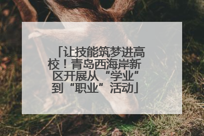 让技能筑梦进高校！青岛西海岸新区开展从“学业”到“职业”活动