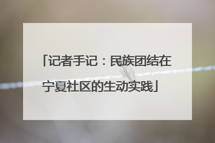 记者手记：民族团结在宁夏社区的生动实践