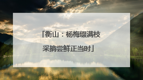 衡山：杨梅缀满枝 采摘尝鲜正当时